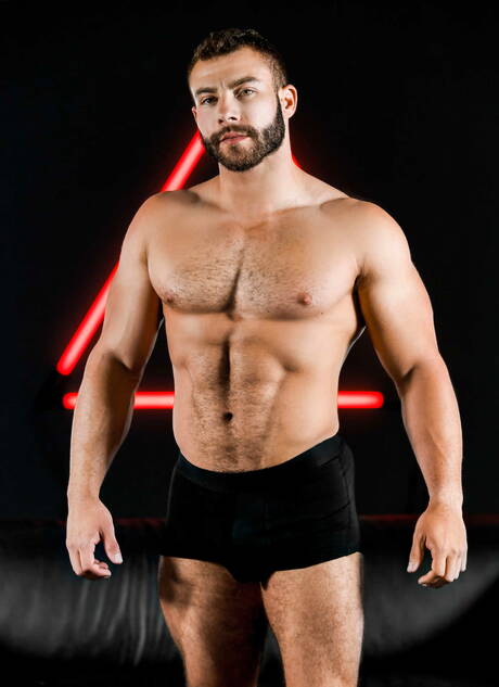 Heiße Amerikaner, der attraktive Myles Landon und der harte Kerl Aston Springs haben sich gegenseitig geknallt