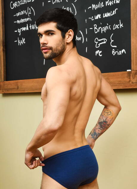 Amerikaanse pornoster Brian Michaels en otter Ty Mitchell hebben goede anale seks