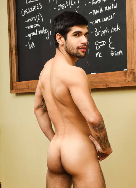 American pornstars stud Brian Michaels and otter Ty Mitchell have a good anal sex