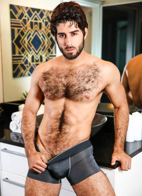 Latino tough guy Diego Sans and tough guy Blaze Burton in hot anal sex in bathroom