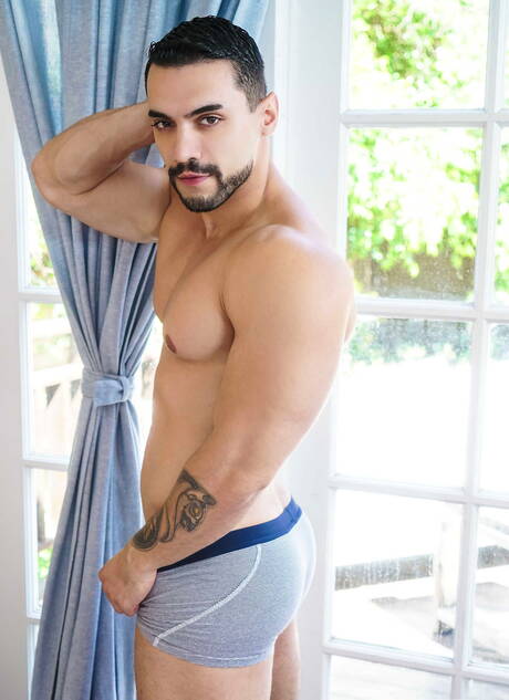 Hete Amerikaanse mannen Otter Colby Keller en hunk Arad Winwin hebben een hete seksdate