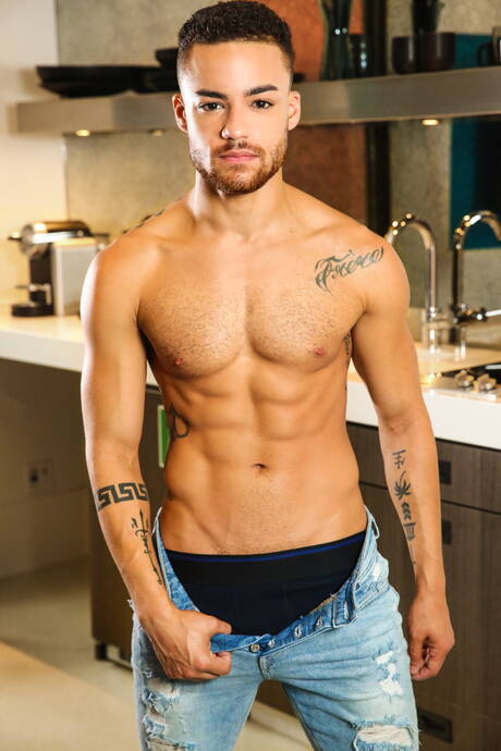 Dwóch amerykańskich facetów, przystojniak Lawrence Portland i krzepki facet Beaux Banks uprawiali ze sobą seks w kuchni