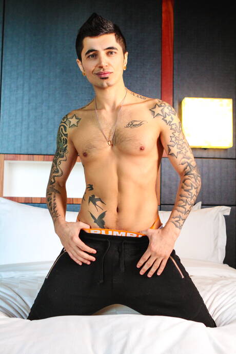 加拿大肌肉男威廉·西德和大力士桑·巴斯激情做愛