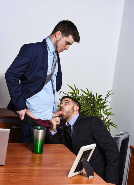 Los sexys estadounidenses, el musculoso Noah Jones y el ardiente oso Jackson Grant se aman.