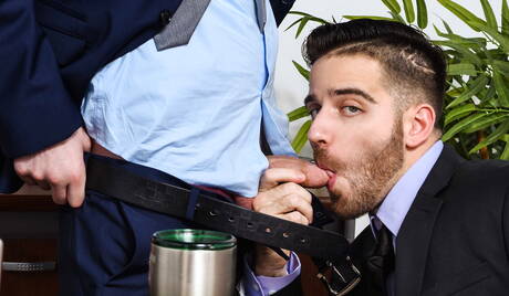 Los sexys estadounidenses, el musculoso Noah Jones y el ardiente oso Jackson Grant se aman.