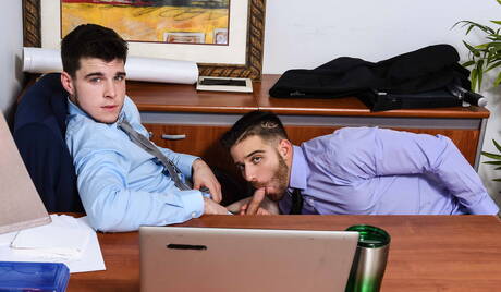 Sexy americans, beefy Noah Jones and hot bear Jackson Grant love each other