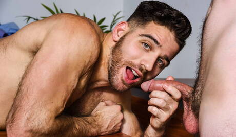 Los sexys estadounidenses, el musculoso Noah Jones y el ardiente oso Jackson Grant se aman.