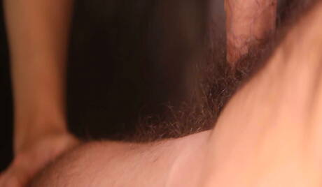 Les beaux garçons américains costauds Will Braun et la loutre Jimmy Fanz dans une action de baise anale torride