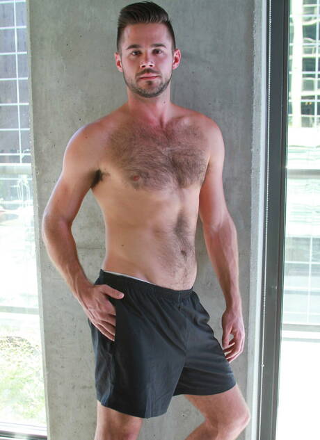 Les Américains sexy, l