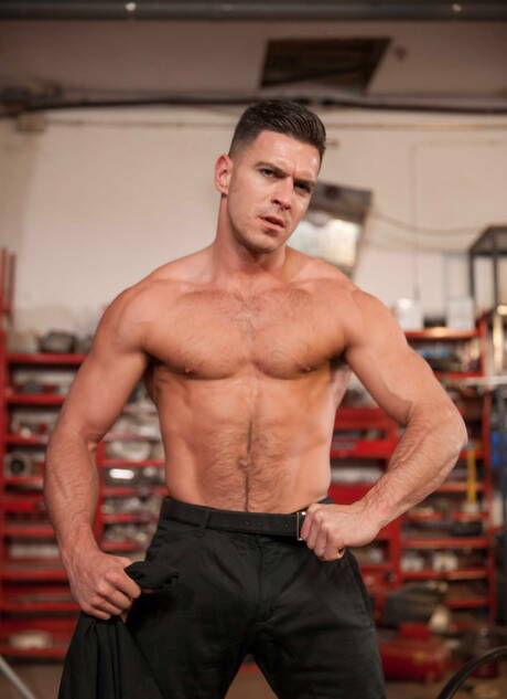 Der englische Rüde Paddy Obrian und Tony Milan lieben sich