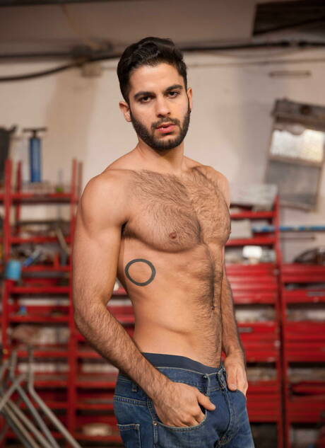 Der englische Rüde Paddy Obrian und Tony Milan lieben sich