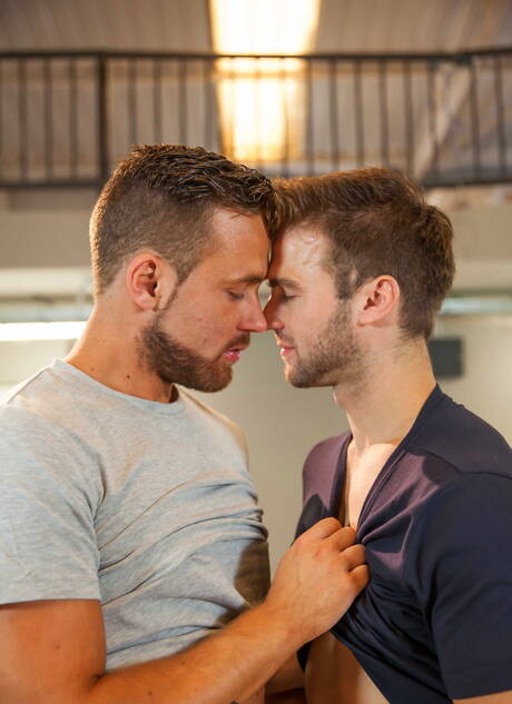 Men: Canadian beefcake Gabriel Clark and dutch beefcake Logan Moore in hot ass bang