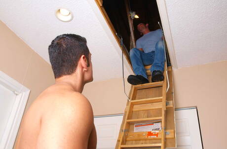 El toro cubano Marcus Ruhl y el cachas estadounidense Danny Palick tienen buen sexo