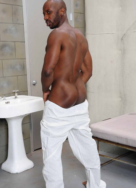 Amerikaanse harige hengst Jessie Colter en zwarte hengst Race Cooper spelen met pik