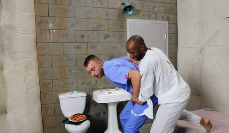 Amerikaanse harige hengst Jessie Colter en zwarte hengst Race Cooper spelen met pik