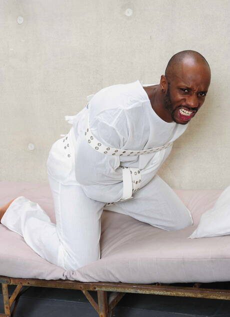 Amerikaanse harige hengst Jessie Colter en zwarte hengst Race Cooper spelen met pik