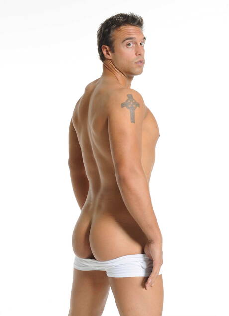 Rocco Reed, Tommy Defendi, Tony Newport, Robert, Zane dans un gangbang masculin