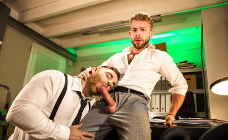 Engelse harige beer Jonas Jackson en Engelse harige hengst Gabriel Phoenix hebben een hete seksscène