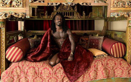 Zwarte hengst Fame toont een perfect lichaam