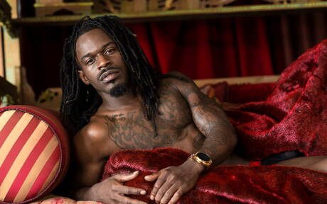 Zwarte hengst Fame toont een perfect lichaam