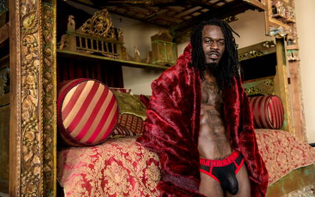 Zwarte hengst Fame toont een perfect lichaam