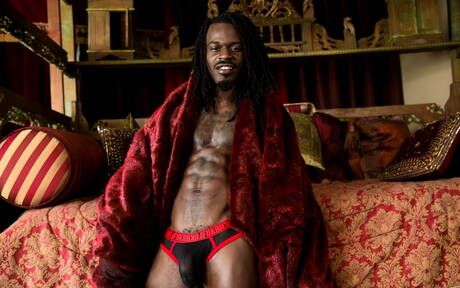 Zwarte hengst Fame toont een perfect lichaam