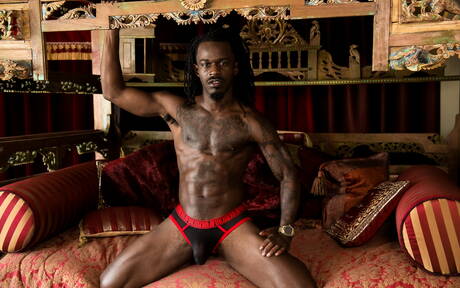 Zwarte hengst Fame toont een perfect lichaam