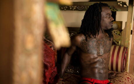 Zwarte hengst Fame toont een perfect lichaam