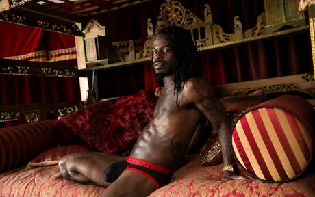 Zwarte hengst Fame toont een perfect lichaam