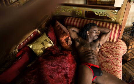 Zwarte hengst Fame toont een perfect lichaam