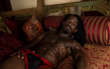 Zwarte hengst Fame toont een perfect lichaam