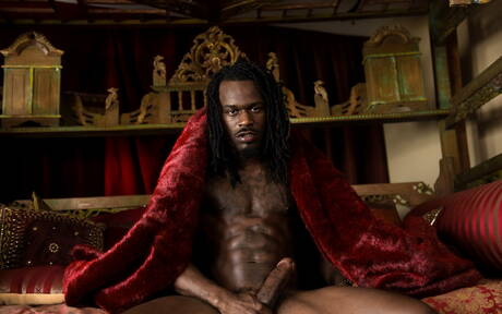 Zwarte hengst Fame toont een perfect lichaam