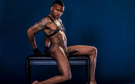 Ebbenhouten husky-man Aaron Reese toont een perfect lichaam