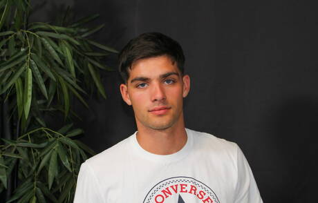 Amerykański kudłaty ogier Leeroy Jones pokazuje piękne ciało