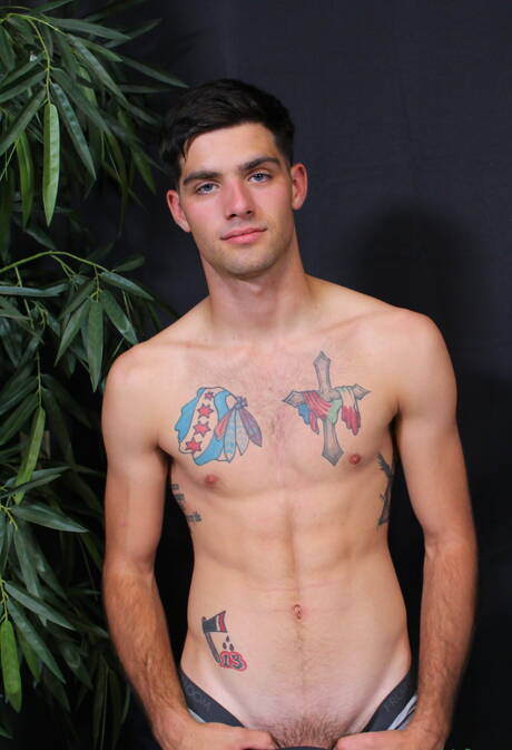 Amerykański kudłaty ogier Leeroy Jones pokazuje piękne ciało