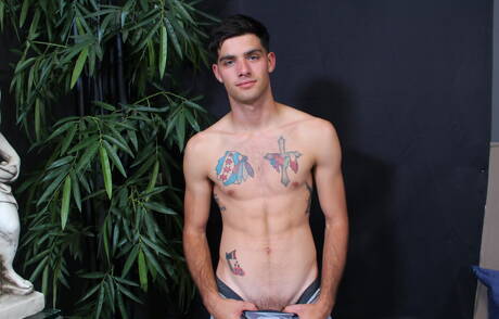 Amerykański kudłaty ogier Leeroy Jones pokazuje piękne ciało