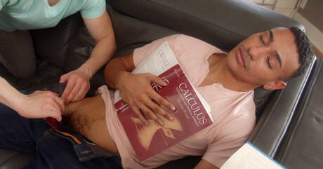 Die berühmten Amerikaner Dante Martin und Zion Nicholas haben harten Analsex