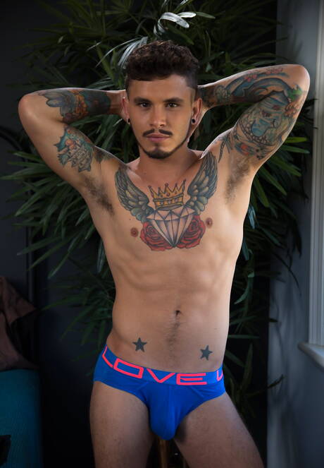 I due ragazzi americani sexy, il bel ragazzo Shawn Reeve e il bel ragazzo Seth Knight fanno sesso anale