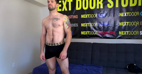 Der haarige amerikanische Hengst Julian Brady spielt mit seinem Schwanz