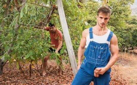 素敵なアメリカ人の男の子の筋肉質なイアン・グリーンと毛深いスタッドドンテシックは、屋外で熱い同性愛行為をしています