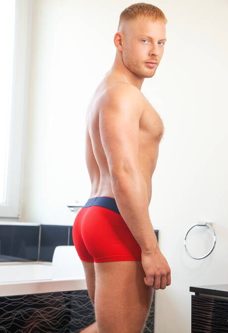 Falcon Studios: English stud Josh Moore and  Andro Maas have a good anal sex in bathroom