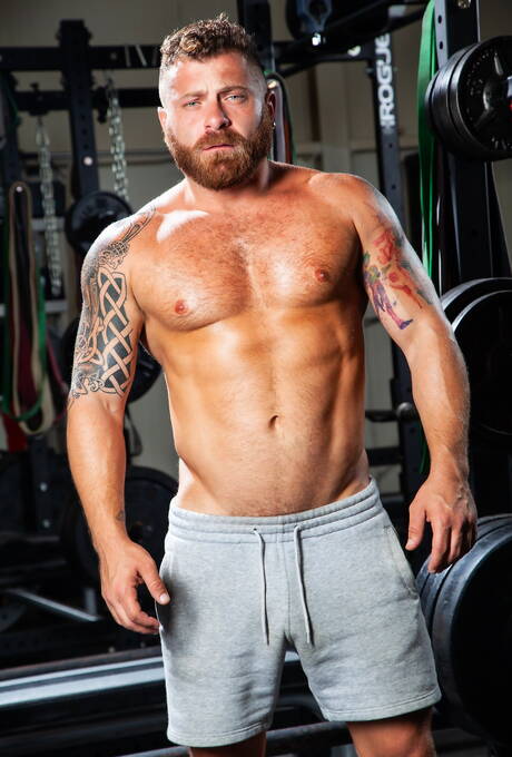 Der haarige amerikanische Bär Riley Mitchel und der reife italienische Bär Max Duro ficken den Arsch, nachdem sie einen Schwanz gelutscht haben