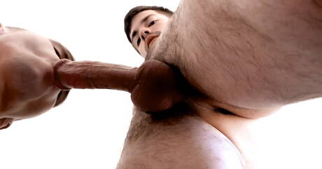 Nette amerikanische Freunde, der junge Ryan Jordan und der Otter Julian Brady in einer Blowjob-Szene im Freien