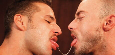 Der israelische Otter Jonathan Agassi und der amerikanische haarige Hengst Jessie Colter lieben sich beim Fisting am Pool