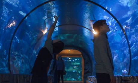 Nice american buddies superstud Blake Mitchell and young Cole Claire ride a cock with fisting