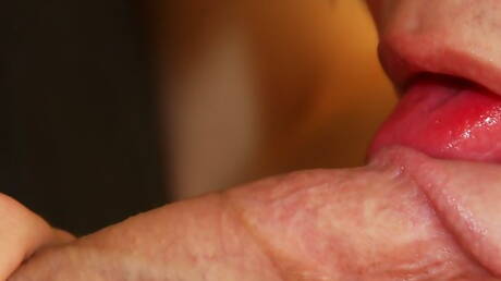 Der schöne Junge Shawn Fox und der heiße amerikanische Twink Roxy Red haben Analsex