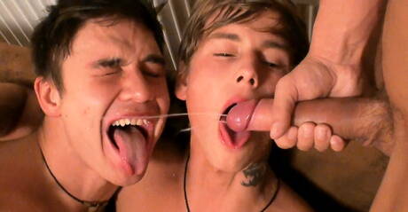 Die sexy Typen Kevin Warhol, Adam Archuleta und Dario Dolce haben Dreier-Analsex