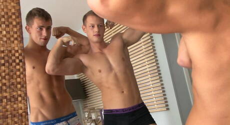 O super garanhão americano Robin Michaux e o tcheco Brian Jovovich transando depois de um boquete