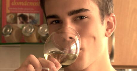 Le costaud tchèque Claude Sorel et le minet américain Todd Rosset ont une bonne sodomie dans la cuisine