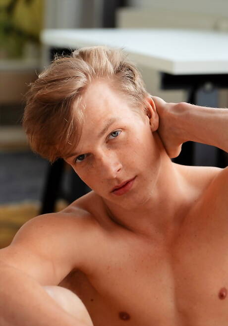 Der tschechische Hengst Jens Christensen zeigt einen kräftigen Körper